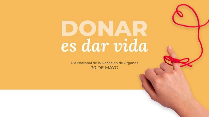 Imagen Noticia
